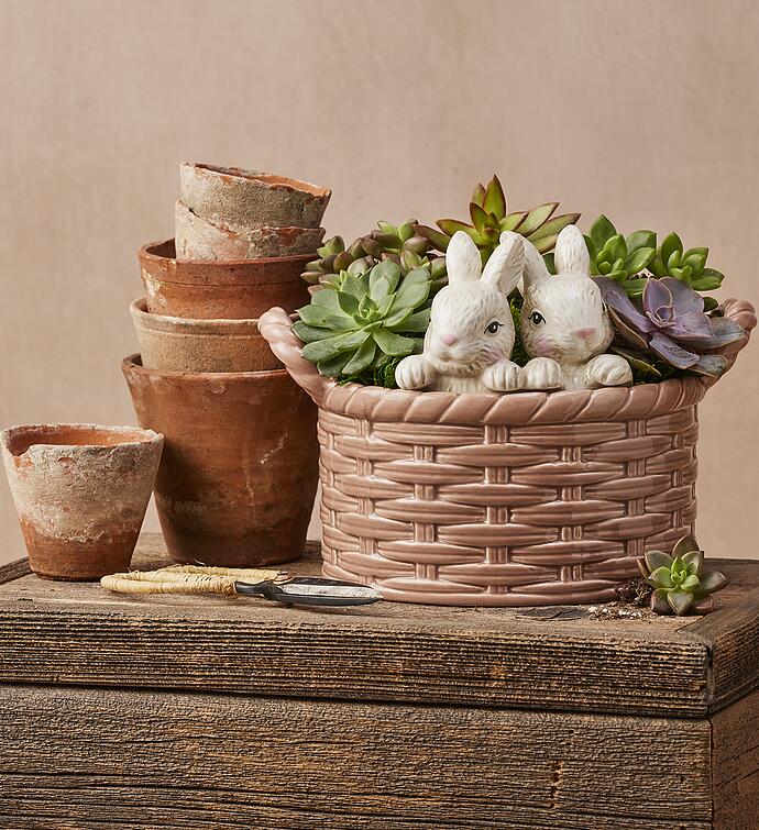 Succulents in Bunny Basket Planter